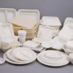 ظروف یک بار مصرف