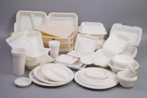ظروف یک بار مصرف