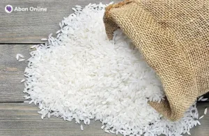 صفحه اصلی