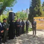صفحه اصلی